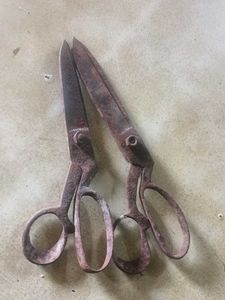 Old Scissors ✂️. Vintage