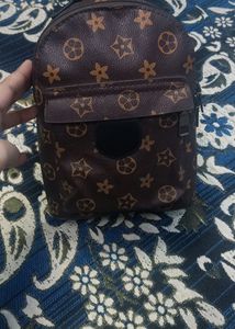 Louis Vuitton Copy