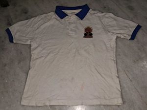 Vibrant Casual Polo Tshirt Men