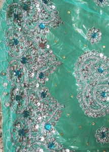 Gorgeous Radium Colour Lehnga Choli