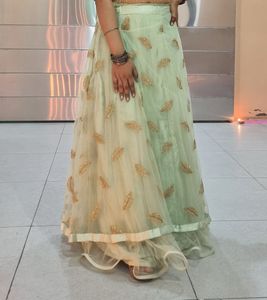 Festive Wear Trendy Gown With Top In Pastel Green