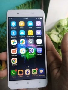 Vivo Y55 phone
