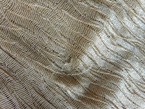 Festive lehanga kurta set