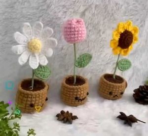 Crochet Flower Pot ( Medium)