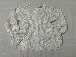 Korean Net/Lace Embroidered Top