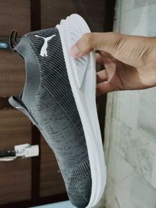 Puma Sports Shoes