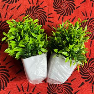artificial plants