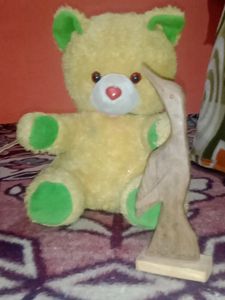 A CUTE TEDDY ' Wood Showpiece Bird