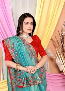 Fancy Net Saree