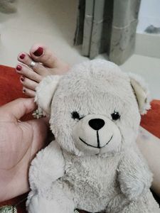 Cute Teddy Bear