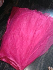 Pink Embellished Dupatta