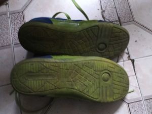 Blue and Green Running Shoes