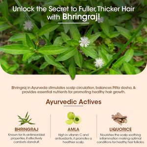 Pack Of 3 Bhringraj Anti Hairfall Oil