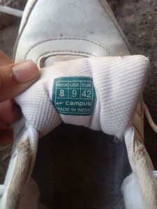 Nice White Campus Shoes.