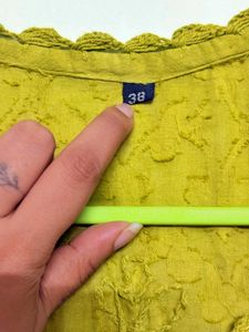 Embroidered Olive green  Chikankari Kurti