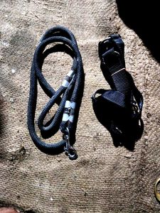 Dog Harnesses