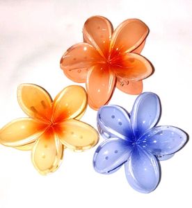 Colorful Flower Hair Clips