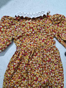 Floral Mini Dress with Lace Collar