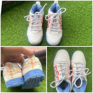 DSC Cricket Shoes