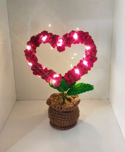 Viral Potted Heart ❤️
