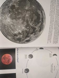 Collins Primary Illustrated Dictionary
