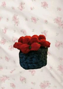 crochet coaster