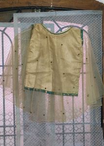 Designer New Style Lehenga Choli For Girls