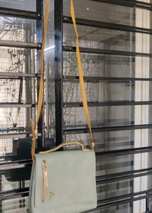 Baggit Sling Bag
