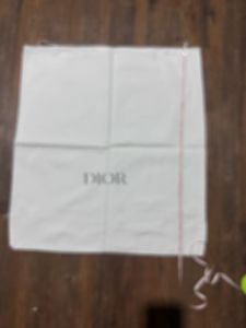 DIOR dust bag