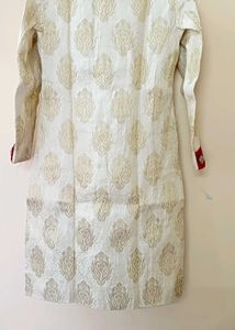 Elegant Sherwani