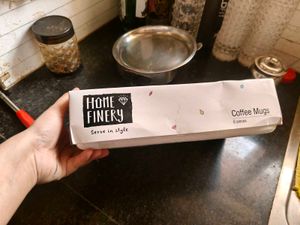 Set of 6 Bio China Cups