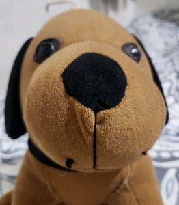Plushy Dog Toy