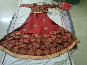Embroidered Lehenga Choli