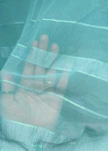Sea Green Saree