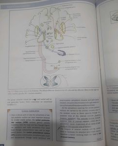 Medical Textbook-vishram Singh