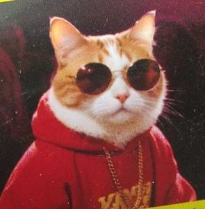 Retro Sunglasses For Pets