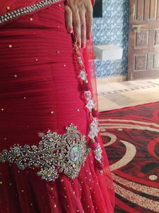 Red Fish cut Lehnga