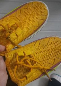 Shoe 👞 Combo