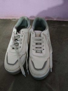Classy Sneaker