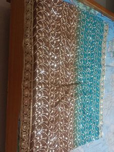 Elegant Ethnic 2- Duppata's (Chunni's)