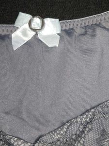 Embroidery Gray Lace Trim Pantie