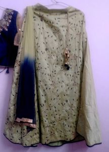 Elegant Lehenga Choli Set,new