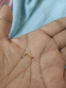 Gold Nose Pin