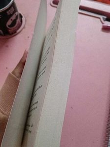 Normal People by Sally Rooney