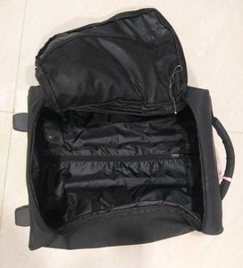 Trolley Bags (Set Of 2)