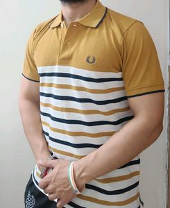 M Size Collar Tshirt