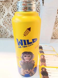 New/unused Premium Quality  Steel Water Bottle