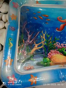 Baby Play Water Mat