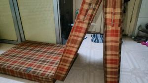 Foldable Mattress Doctor Frum