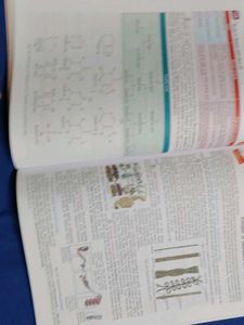 Studies in Biology - Class XII, English version